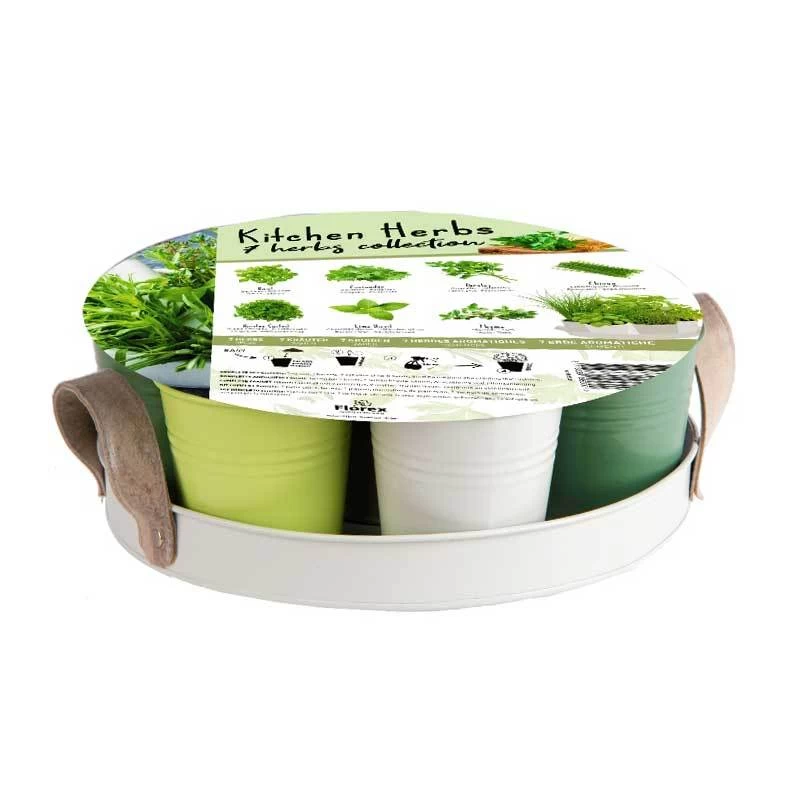 XL-Kollektion Mit 7 Verschiedenen Küchenkräutersamen