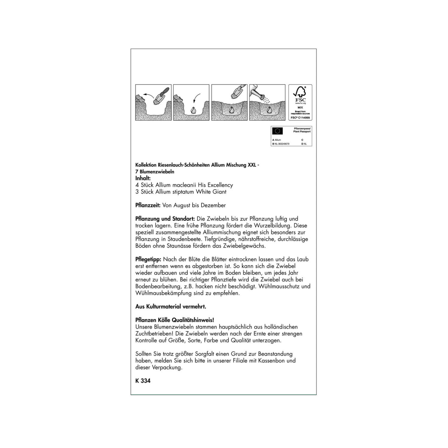 XXL Allium Mischung 'Riesenlauch Schönheiten', Weiß, Lila, 5 Blumenzwiebeln – Bild 2