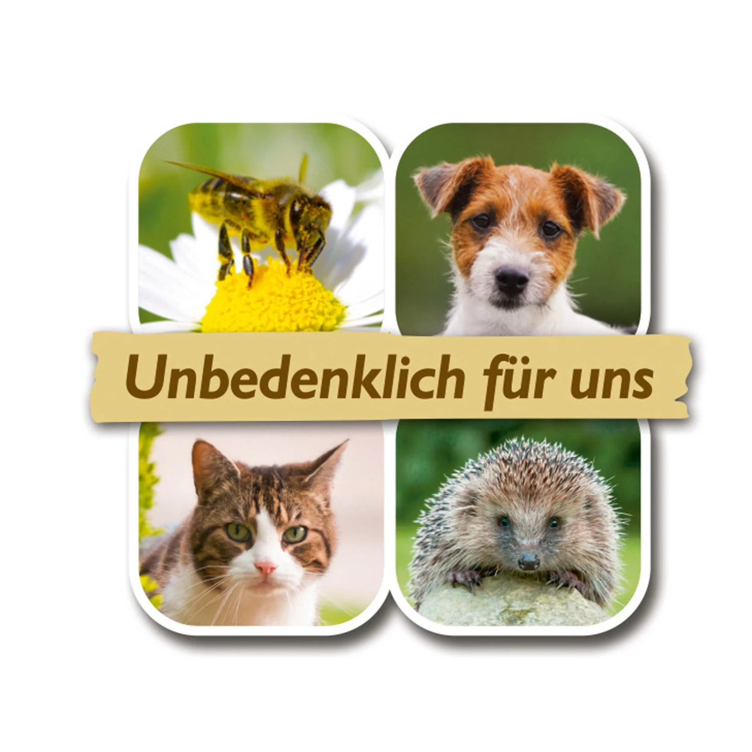 Azet Rasendünger, 5 Kg – Bild 3