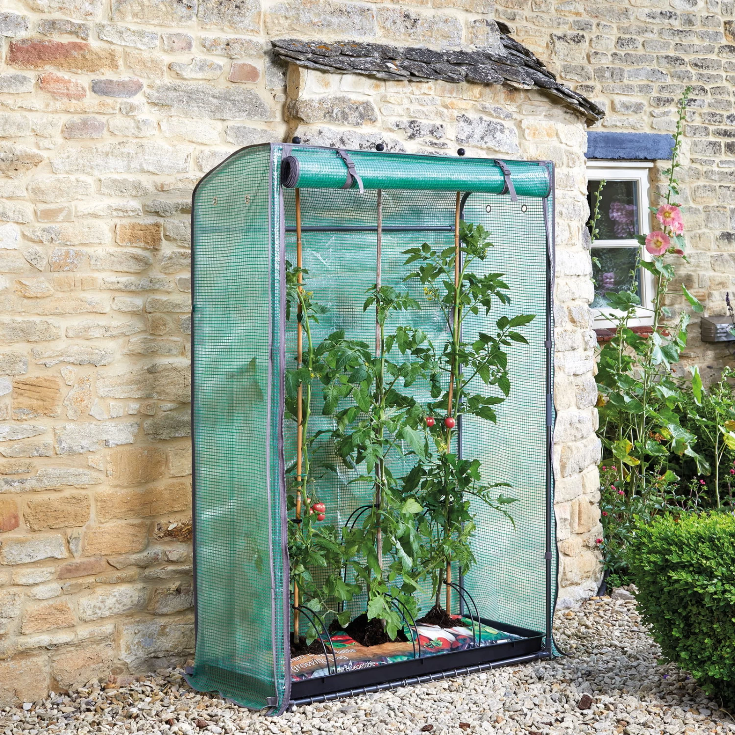 Tomatengewächshaus 'Tomato GroZone', Ca. 150 X 100 X 40 Cm – Bild 3