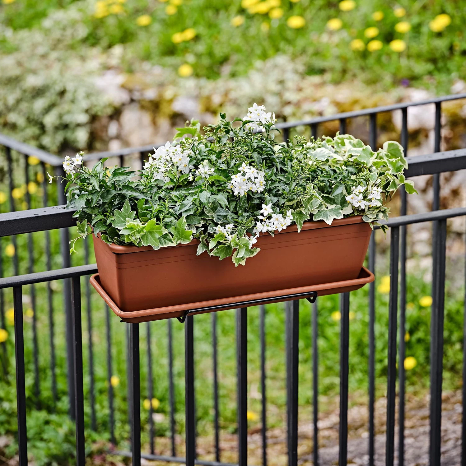 Blumenkasten 'Tera Kit Basic', Terra, Ca. 80 X 17 X 14 Cm – Bild 2